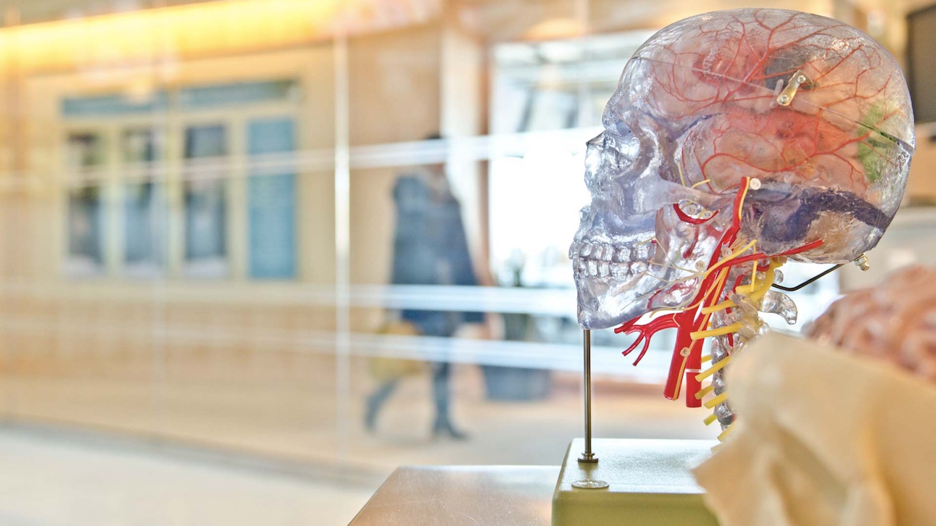 corso antropologia forense